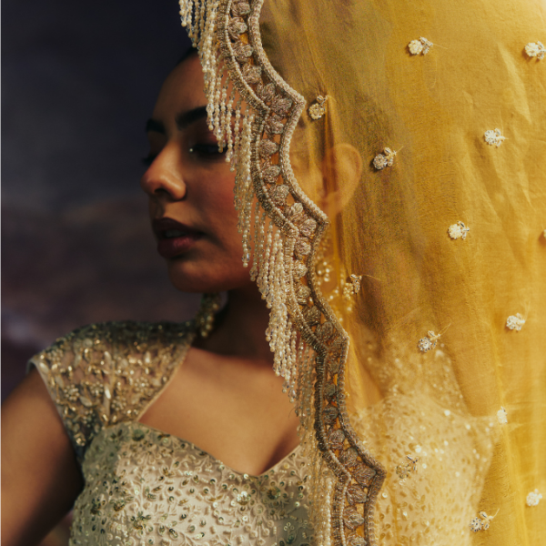 Roshanara — The Collection wide shot