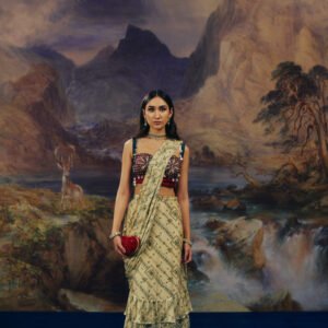 Chandni Saree